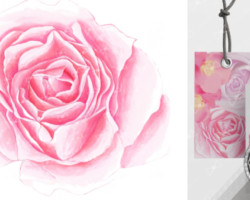 Illustration with Rose. Watercolor rose illustration